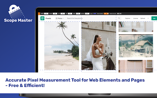 Scope Master Page Ruler screenshot 1
