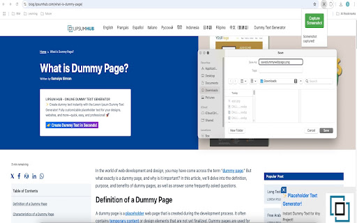 Screenshot Capture screenshot 1