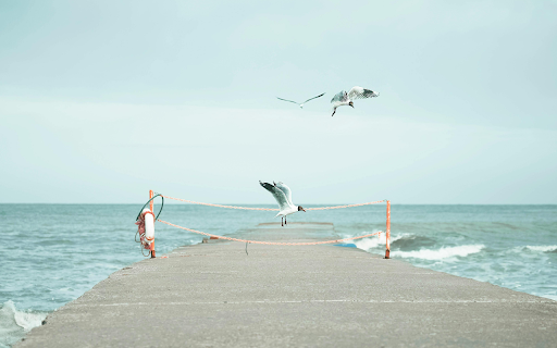 Seagulls Flying over a Concrete Pier screenshot 1