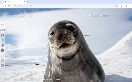 Seal Wallpaper screenshot 1
