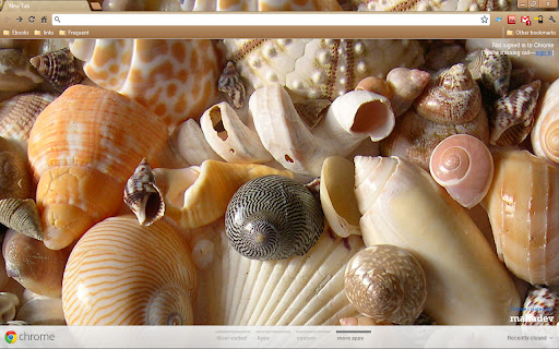 Seashells screenshot 1