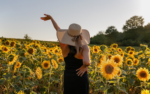 See sunflowers screenshot 1