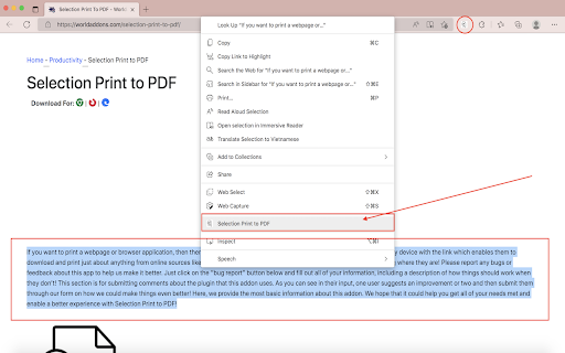 Selection Print to PDF screenshot 1