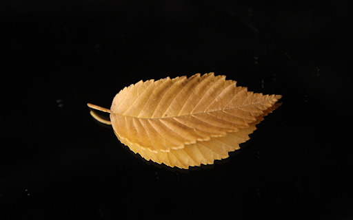 Serrated yellow leaves screenshot 1