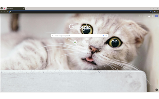 Shallow Focus Photography Of Cat screenshot 1