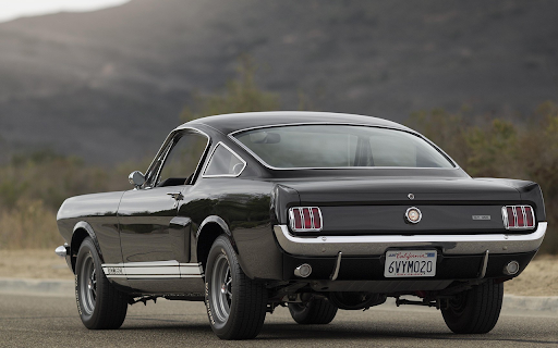 Shelby GT 350 screenshot 1