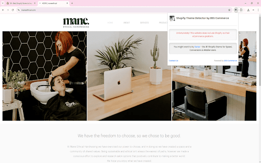 Shopify Theme Detector by BSS Commerce screenshot 1