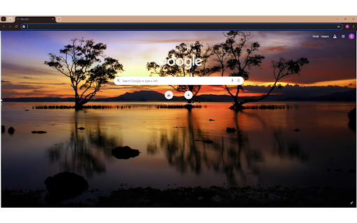 Silhouette of Trees Near Body of Water screenshot 1