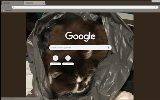 Silly Cat screenshot 1