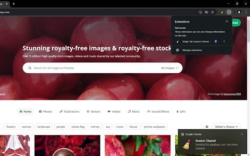 Single Tab Session Cleaner screenshot 1