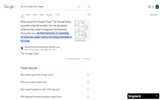 Singulariti - Search Companion screenshot 1