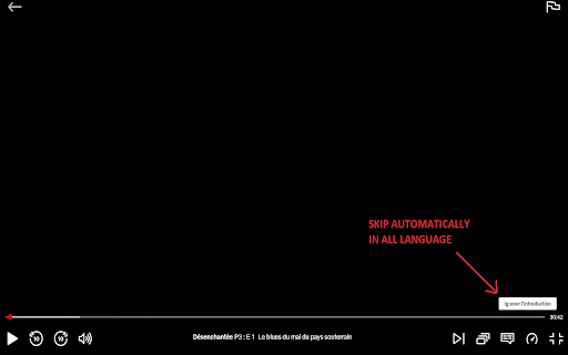 Skipfast intro, recap, next and more screenshot 1