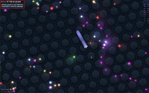 Slither.io With Friends screenshot 1