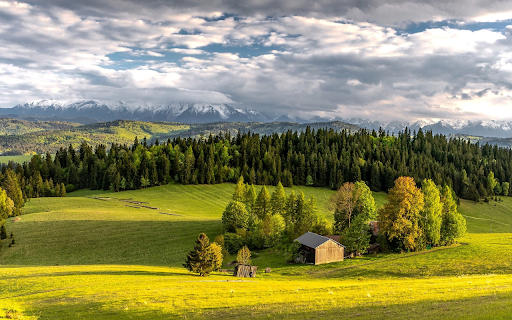 Small House in the Grassland screenshot 1