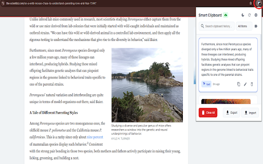 Smart Clipboard Manager screenshot 1