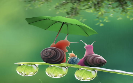 Snail with umbrella wallpaper screenshot 1