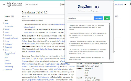 SnapSummary screenshot 1