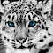 Snow Leopard Theme logo