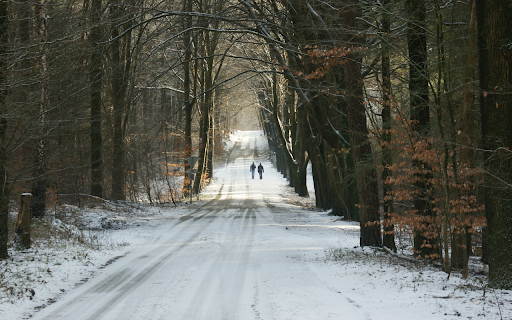 Snow road screenshot 1