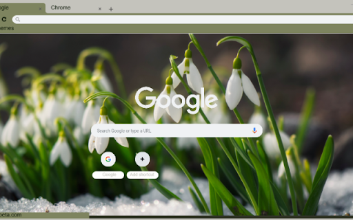 Snowdrop screenshot 1