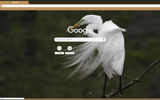 Snowy egret screenshot 1