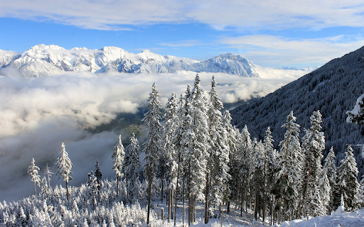 Snowy forest screenshot 1