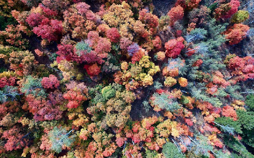 Software testing screenshot 1