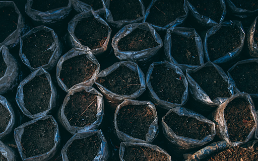 Soil for planting seeds screenshot 1