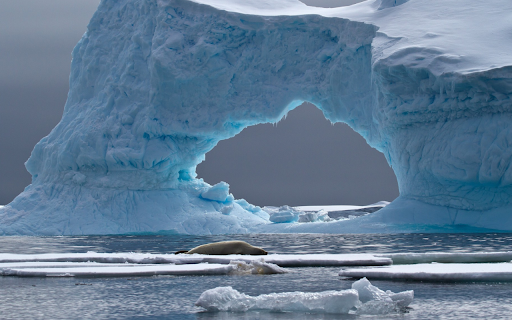 Solitude in the Icy Kingdom screenshot 1