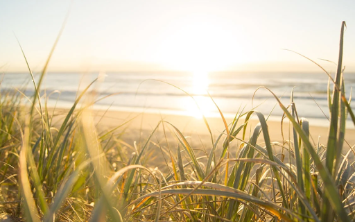 SolsticeSurge screenshot 1