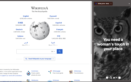 Spotify Side Lyrics screenshot 1