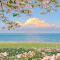 Spring blooms by the blue sea wallpaper logo