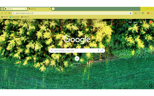 Spruce tree tops screenshot 1