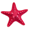 Starfish logo