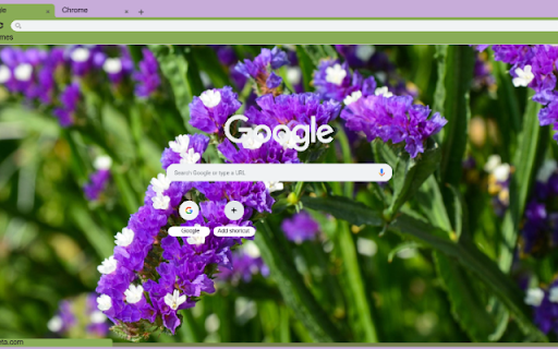 Statice screenshot 1