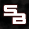 Stealth Bot logo