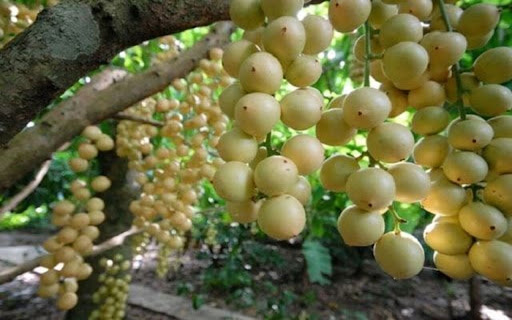 strawberry wallpaper screenshot 1