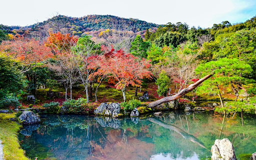Stream in a Park in Kyoto screenshot 1