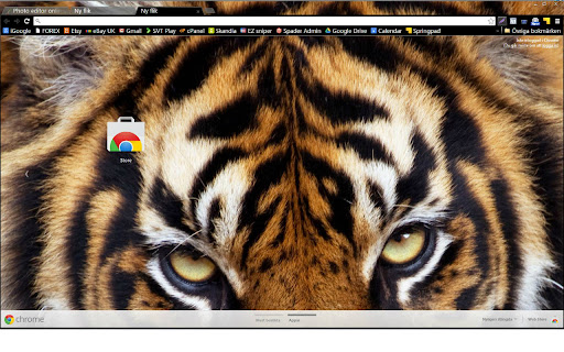 Sumatran Tiger theme screenshot 1