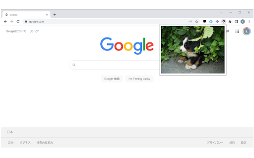 SummonDog screenshot 1