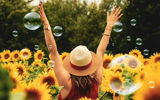 Sunflower Joy screenshot 1