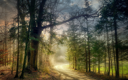 Sunny dirt road screenshot 1