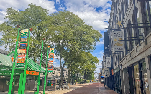 Sunny street with no people screenshot 1