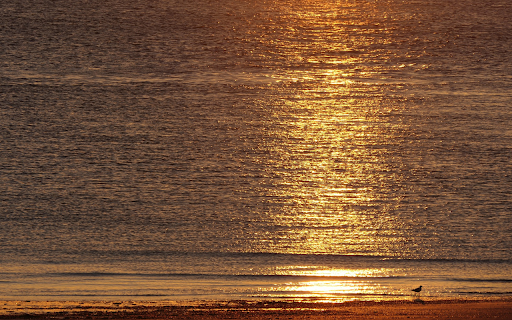 Sunset and Sea screenshot 1