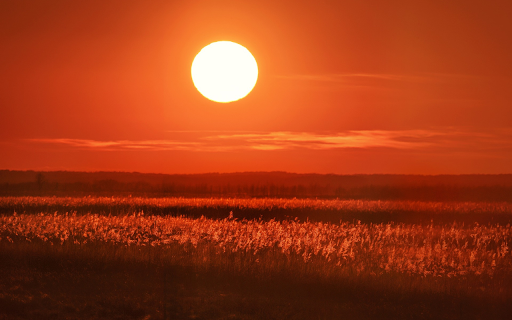 Sunset on the meadow screenshot 1