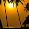 sunset over a vast beach lined with palm trees logo