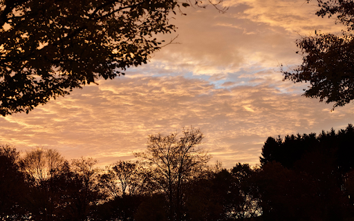 Sunset Scene screenshot 1