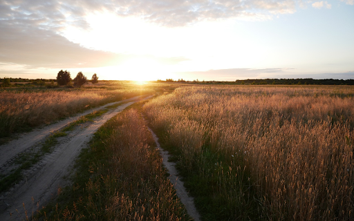 Sunshine on the small road screenshot 1