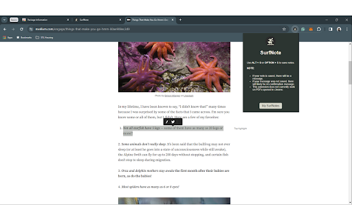 SurfNote screenshot 1