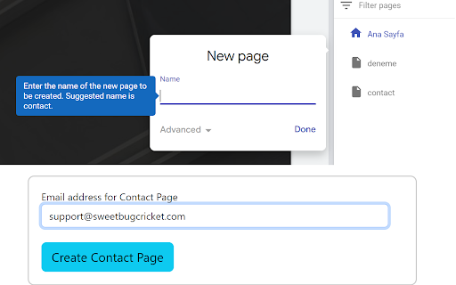 Sweet Cricket for Google Web Site Management screenshot 1